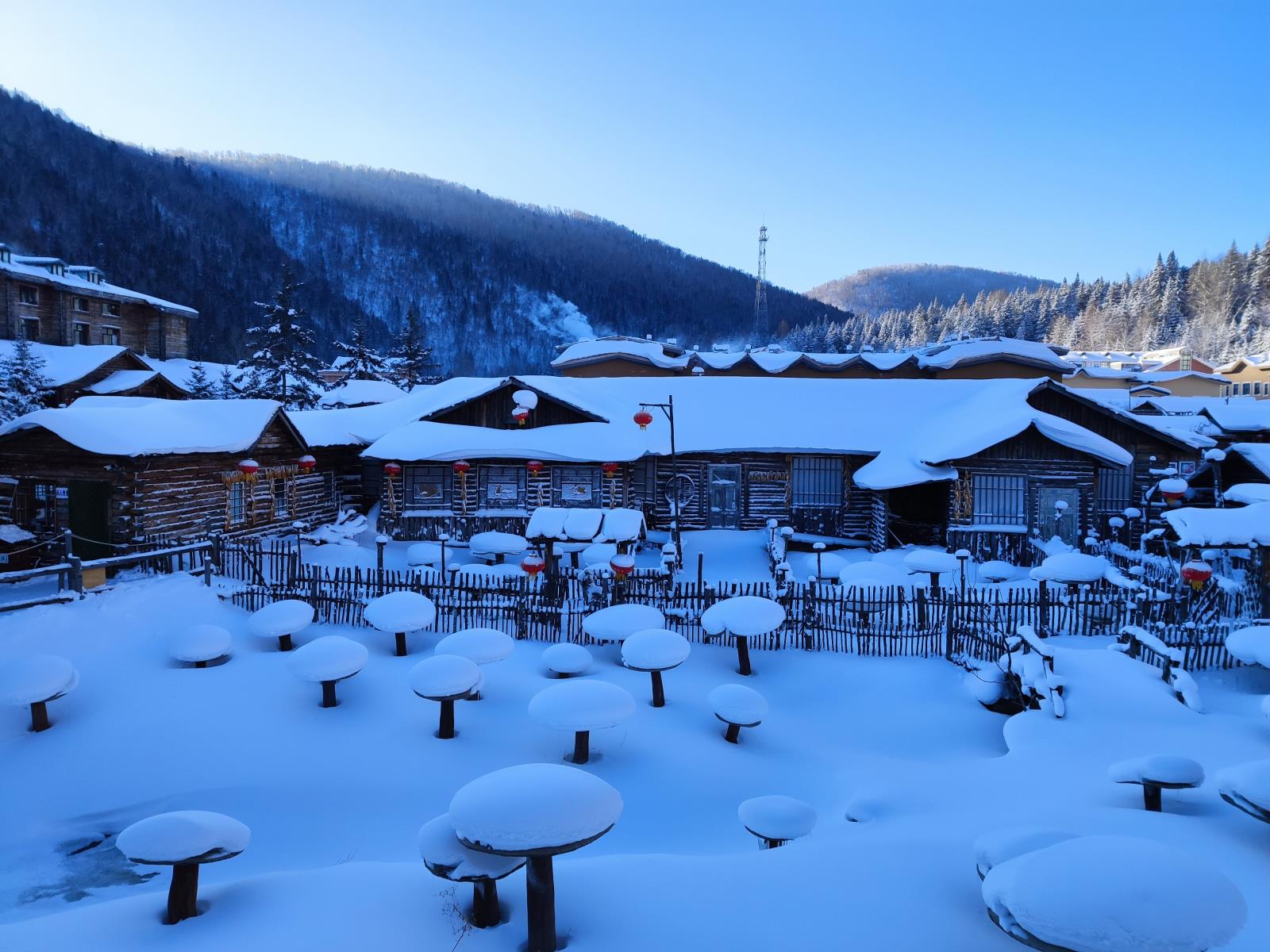 雪.jpg 雪.jpg