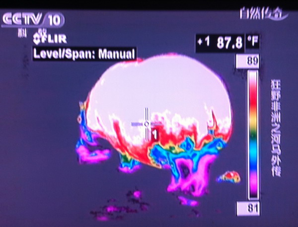 FLIR2.jpg FLIR2.jpg